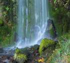 Oregon-Columbia River Gorge National Scenic Area-Lancaster Falls Art Print